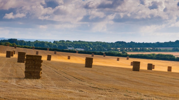 Landscape-001-72ppi